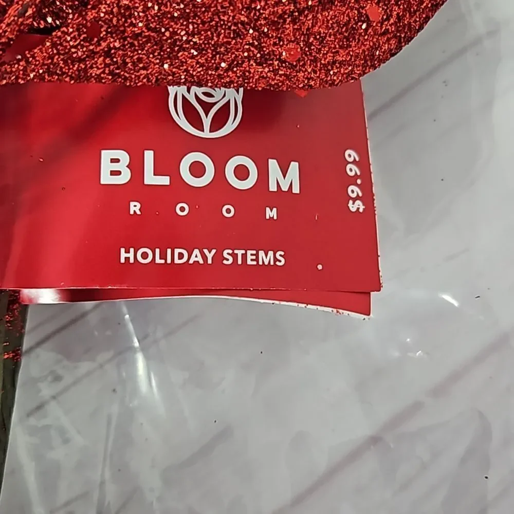 Bloom Room nwt 28